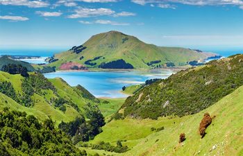 Dunedin coast from a Norwegian Cruise Line sailing Dunedin coast from a Norwegian Cruise Line sailing