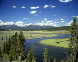 Yellowstone National Park