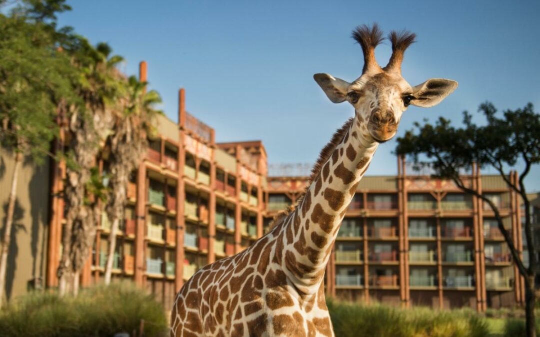 Staying in the Magic: Choosing the Perfect Resort for Your Next Walt Disney World Vacation
