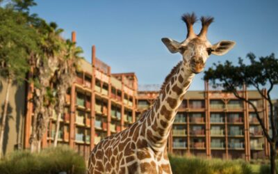 Staying in the Magic: Choosing the Perfect Resort for Your Next Walt Disney World Vacation